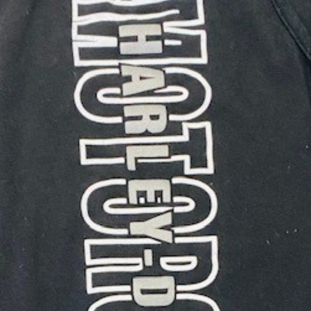 Ladies Sleeveless Harley-Davidson Tshirt ✴︎˚｡⋆✨💗👍HOST PICK👍 💗✨⋆✴︎˚｡ - Picture 4 of 6